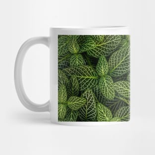 beauty of nature Mug